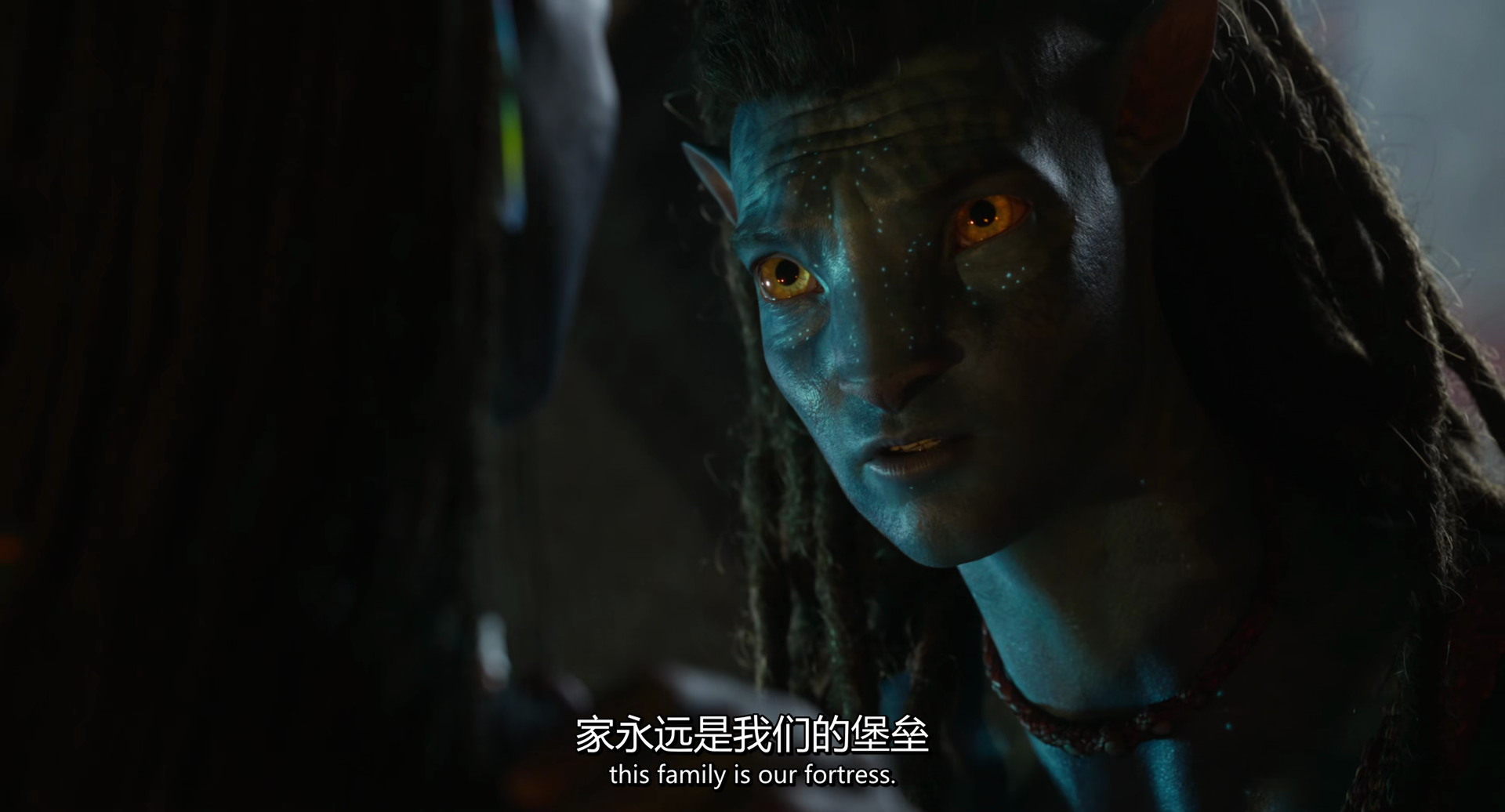 avatar2-3